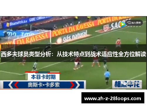 西多夫球员类型分析：从技术特点到战术适应性全方位解读