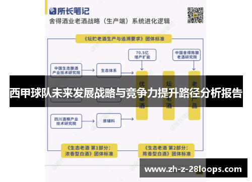 西甲球队未来发展战略与竞争力提升路径分析报告 西甲球队未来发展战略与竞争力提升路径分析报告